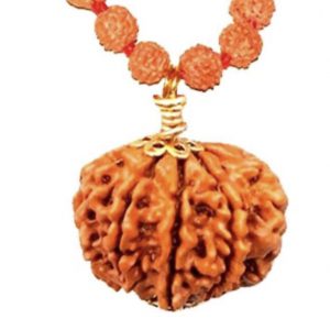 9 Faced Original Nepali Abhimantrit Rudraksha (With Silver Capping)